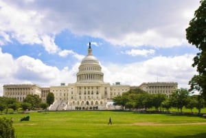 Washington, DC: Guidad tur i liten grupp 4-timmars dagstur