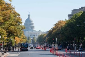 Washington, DC: Rundvandring i stadens dolda historia