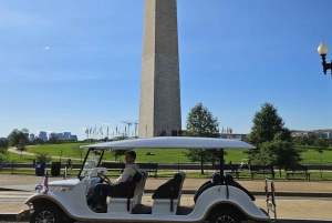 DC: Historic Monuments Guided Tour by Vintage Car