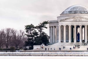 Washington, DC: Holiday Lights Nighttime Bus Tour