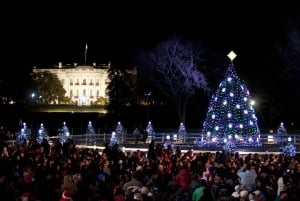 Washington, DC: Holiday Lights Nighttime Bus Tour