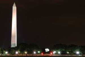 Washington, DC: Holiday Lights Nighttime Bus Tour