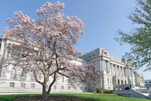 Washington DC: Private Tour durch die Library of Congress mit Tickets