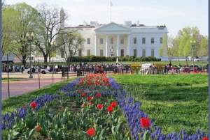 Delhistä: 3 päivän yksityinen kultainen kolmio -kiertue hotelleilla