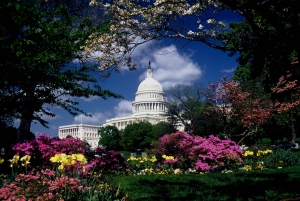 Washington, DC: Lección de Fotografía de Monumentos y Conmemoraciones