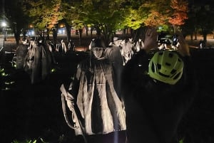 Washington DC: Monumentos à noite: tour noturno de bicicleta