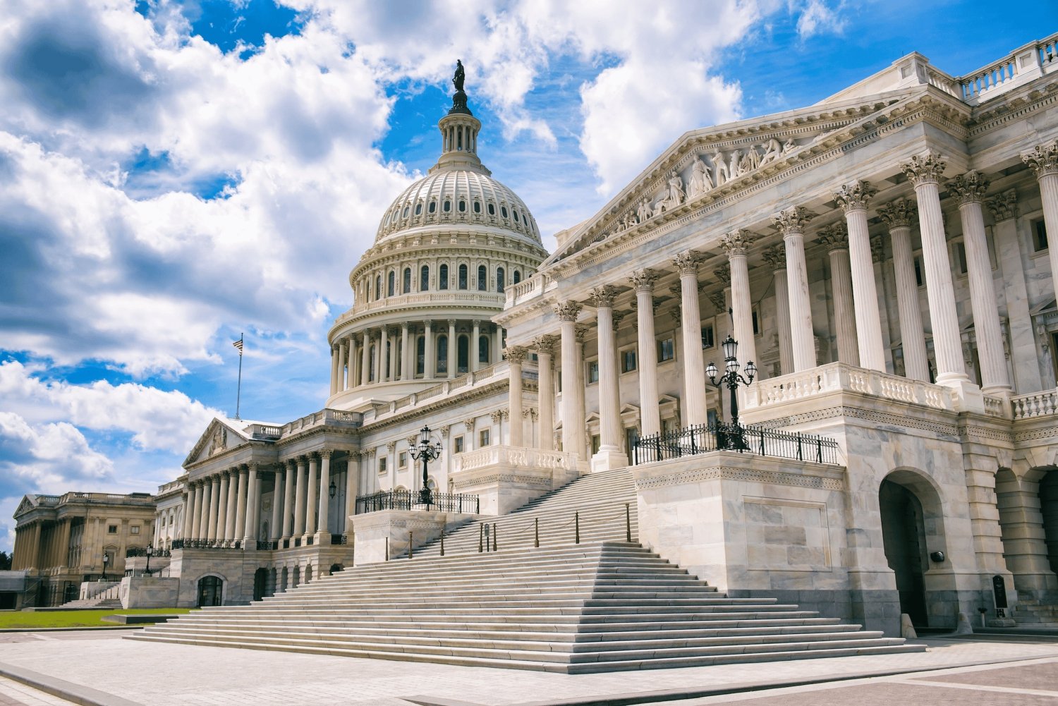 Washington, DC: Monuments Guided Tour with Transportation