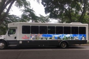 Washington DC: 3-stündige Tour zum Monument am Morgen