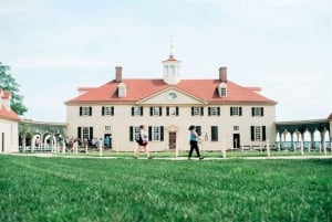 Washington DC: Mount Vernon and Old Town Alexandria Day Trip