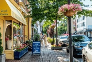 Washington DC: Mount Vernon og Old Town Alexandria Tour