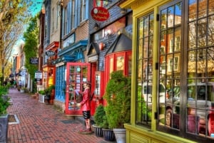 Washington DC: Mount Vernon og Old Town Alexandria Tour