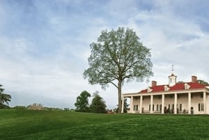 Washington DC: Mount Vernon og Old Town Alexandria Tour