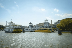 Washington DC: Mount Vernon og Old Town Alexandria Tour