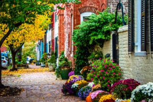 Washington DC: Mount Vernon og Old Town Alexandria Tour