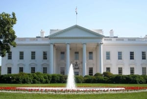 Washington DC: Multilingual Private Day or Evening SUV Tour