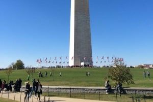 Washington DC: Multilingual Private Day or Evening SUV Tour