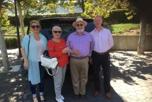 Washington DC: Multilingual Private Day or Evening SUV Tour