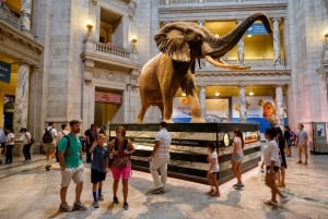 Washington DC: Museum für Naturgeschichte Private Führung