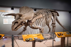 Washington DC: Museum für Naturgeschichte Private Führung