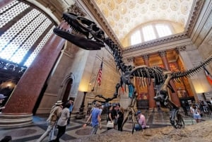 Washington DC: Museum für Naturgeschichte Private Führung