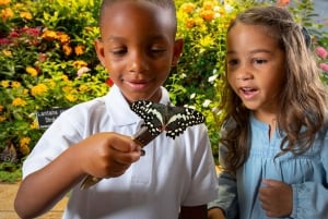 Washington DC: Museum für Naturgeschichte Private Führung