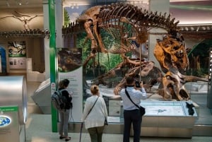 Washington DC: Museum für Naturgeschichte Private Führung