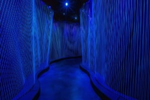 Washington DC: Museo della Bibbia - Ingresso generale