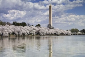 Washington DC: Must See Sights Half-Day Tour
