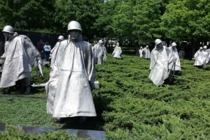 Washington DC: Must See Sights Half-Day Tour