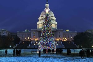 Washington, DC: National Mall and Memorials Moonlight Tour