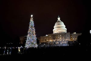 Washington, DC: National Mall and Memorials Moonlight Tour