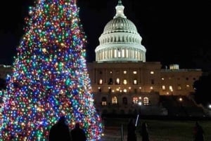Washington, DC: National Mall and Memorials Moonlight Tour