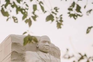 Washington, DC: passeio pelo National Mall com entrada nos monumentos
