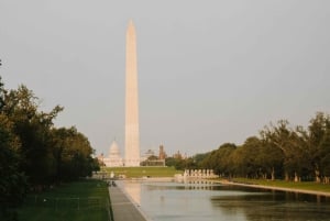 Washington, DC: passeio pelo National Mall com entrada nos monumentos