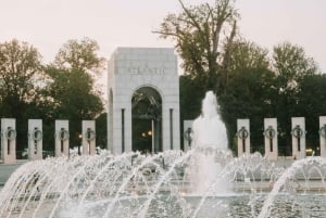 Washington, DC: passeio pelo National Mall com entrada nos monumentos