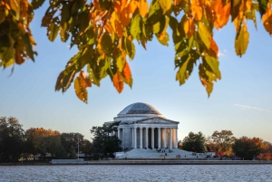 Washington DC: National Mall Walking Tour