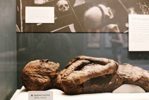 Excursão ao Museu de História Natural + Museu do Ar e Espaço do Smithsonian 8ppl