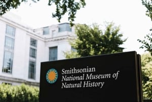Excursão ao Museu de História Natural + Museu do Ar e Espaço do Smithsonian 8ppl