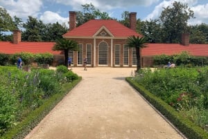 Washington DC: Tour nocturno de la ciudad con visita a Mount Vernon