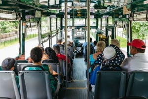 Washington, DC: Old Town Hop-On Hop-Off Trolley City Tour