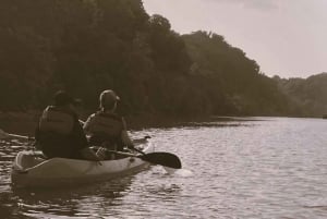 Washington DC : Visite sur les fantômes de la rivière Potomac en kayak