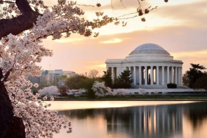 Washington DC: Private Custom Tour with a Local Guide