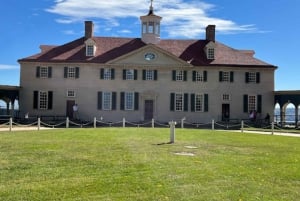 Washington DC: Private Day Tour of Mount Vernon & Alexandria