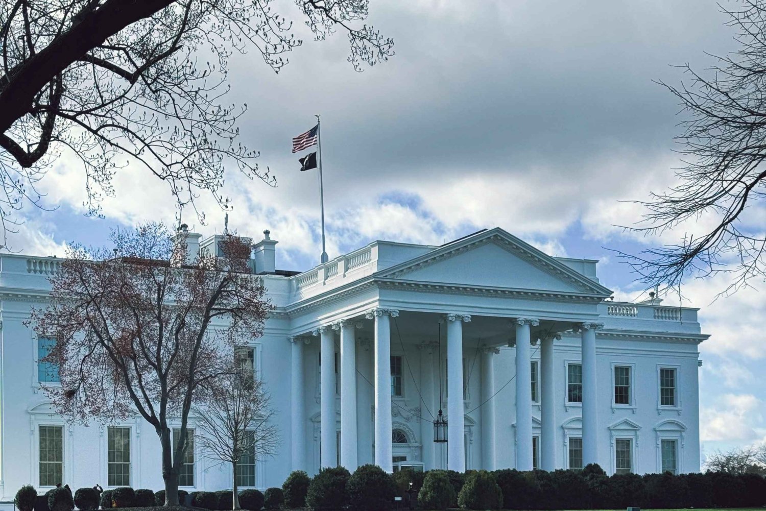 Washington DC: Private Half-Day Sightseeing Tour