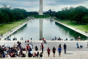 Washington DC: Excursão turística particular de meio dia