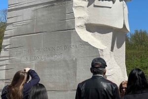 Washington DC: Excursão turística particular de meio dia