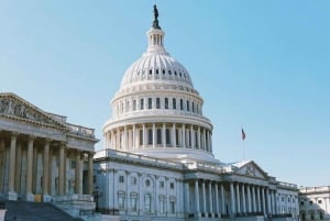 Washington DC: Private Moonlight Van Tour