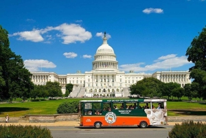 Washington DC: Private Moonlight Van Tour