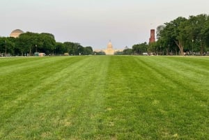 Washington DC: Private Moonlight Van Tour