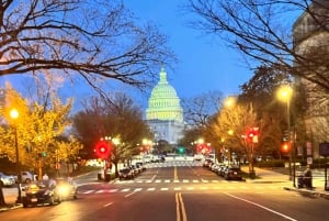 Washington DC: Private Moonlight Van Tour